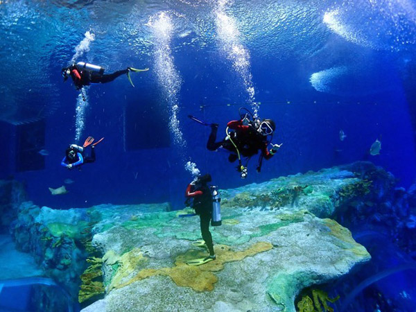 潛在水里，學(xué)做一條靜靜的魚