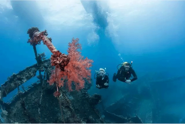 成為潛水員之前的你，是不是也問過這些問題？