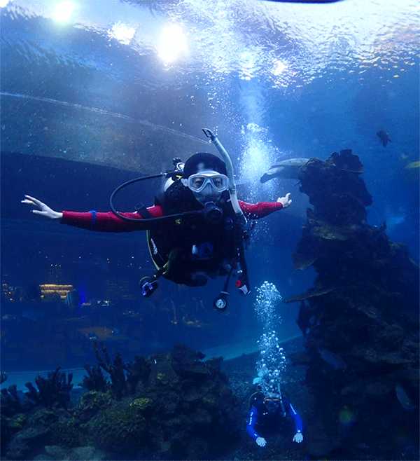 潛水常見(jiàn)問(wèn)題，原來(lái)潛水沒(méi)你想的那么難